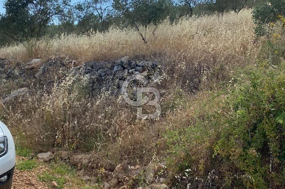 Muğla menteşe yenibağyaka’da Satılık Tarla