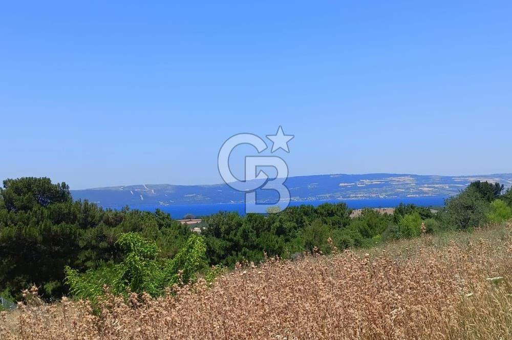 ÇANAKKALE MERKEZ YAPILDAK 'TA SATILIK KÖŞE PARSEL HİSSESİ