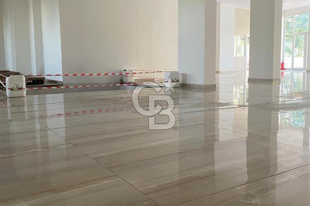 Kurumsala Özel Kapsamlı Kullanım Alanına Sahip 400+300m2 Kiralık Dükkan