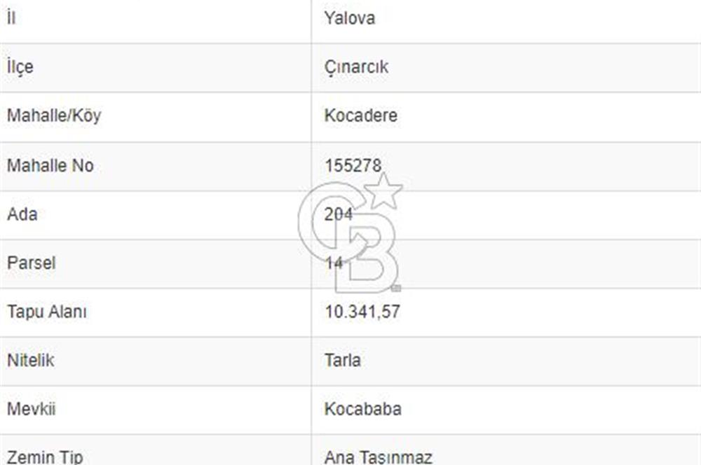 ÇINARCIK KOCADERE KÖYÜ'NDE 10.341 M2 SATILIK ARSA