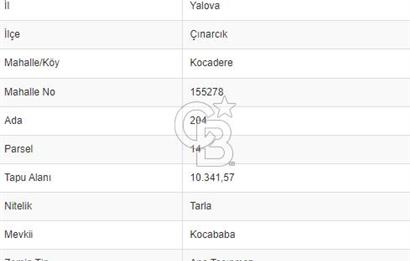 ÇINARCIK KOCADERE KÖYÜ'NDE 10.341 M2 SATILIK ARSA