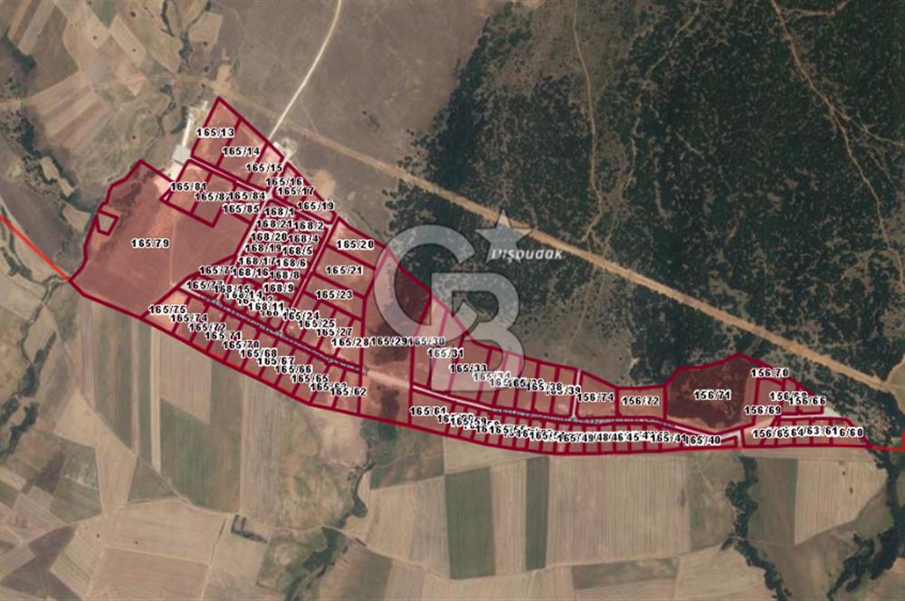 Vize Doğanca da Köy Yanı 10.814 m2 Satılık Fırsat Arazi