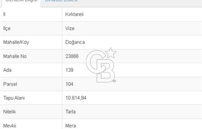 Vize Doğanca da Köy Yanı 10.814 m2 Satılık Fırsat Arazi