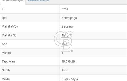 Kemalpaşa Beşpınarda Satılık Tarla