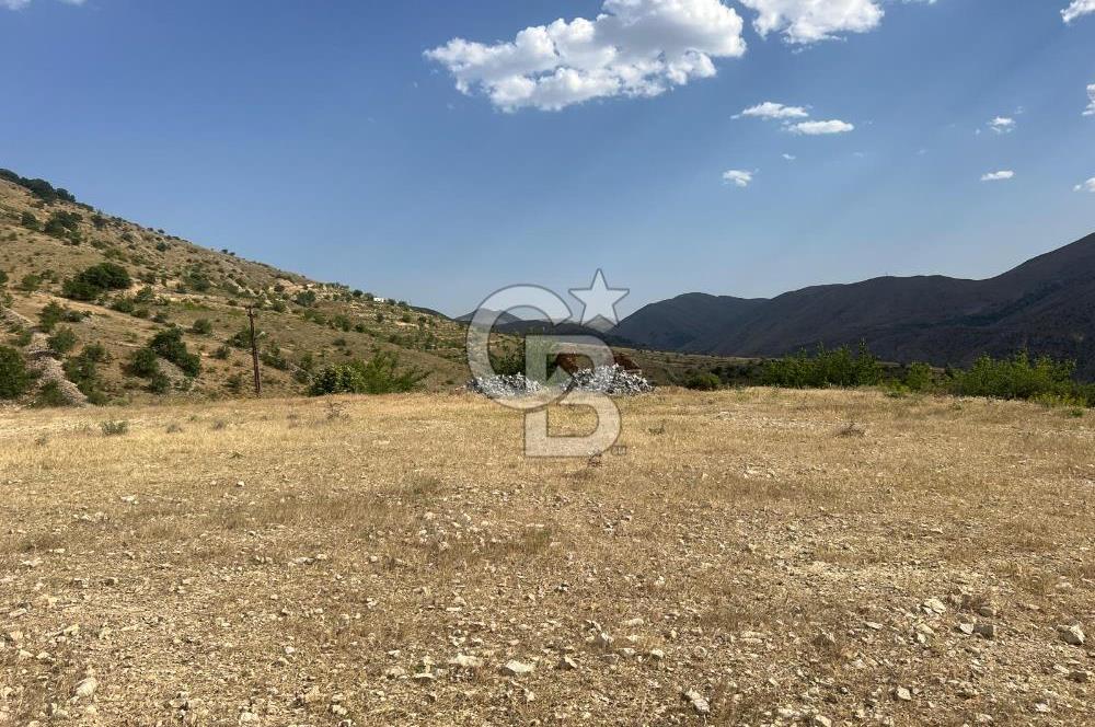 CB SAFİR'den GÜNDÜZBEY de HAVUZLU 3688 m2 SATILIK ARSA