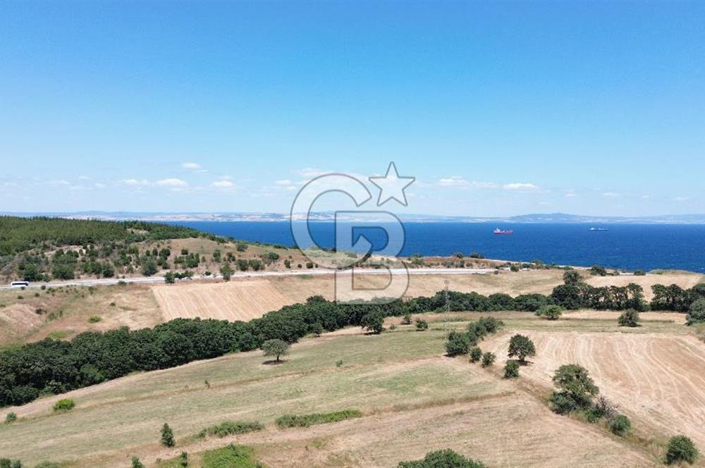 ÇANAKKALE / LAPSEKİ/ ŞEVKETİYE KÖYÜ BOĞAZ MANZARALI SATILIK TARLA