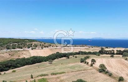 ÇANAKKALE / LAPSEKİ/ ŞEVKETİYE KÖYÜ BOĞAZ MANZARALI SATILIK TARLA