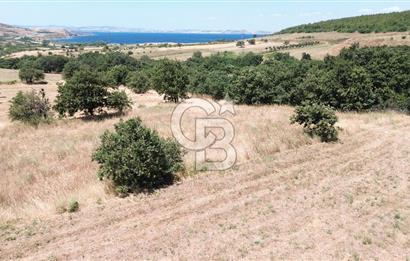 ÇANAKKALE / LAPSEKİ/ ŞEVKETİYE KÖYÜ BOĞAZ MANZARALI SATILIK TARLA