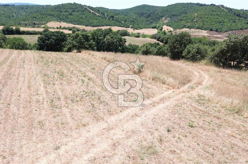 ÇANAKKALE / LAPSEKİ/ ŞEVKETİYE KÖYÜ BOĞAZ MANZARALI SATILIK TARLA