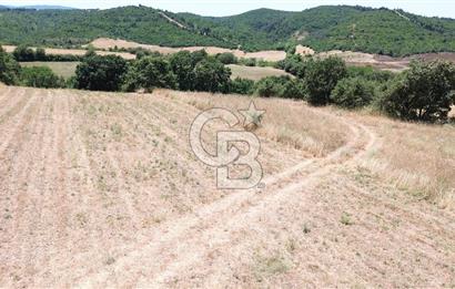 ÇANAKKALE / LAPSEKİ/ ŞEVKETİYE KÖYÜ BOĞAZ MANZARALI SATILIK TARLA