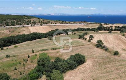 ÇANAKKALE / LAPSEKİ/ ŞEVKETİYE KÖYÜ BOĞAZ MANZARALI SATILIK TARLA