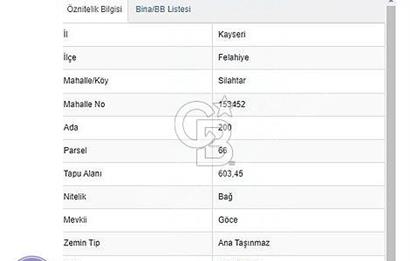 FELAHİYE SİLAHTAR'DA SATILIK ÜZÜM BAĞI