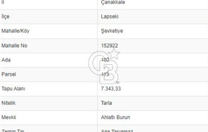 ÇANAKKALE / LAPSEKİ/ ŞEVKETİYE KÖYÜ BOĞAZ MANZARALI SATILIK TARLA