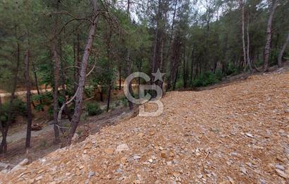 Muğla Menteşe çatakbağyaka Mah Satılık Tarla