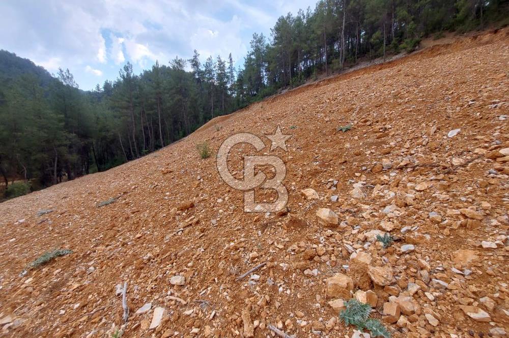 Muğla Menteşe Dağdibi Mah Satılık Tar