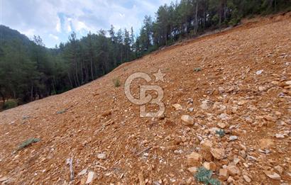 Muğla Menteşe Dağdibi Mah Satılık Tar