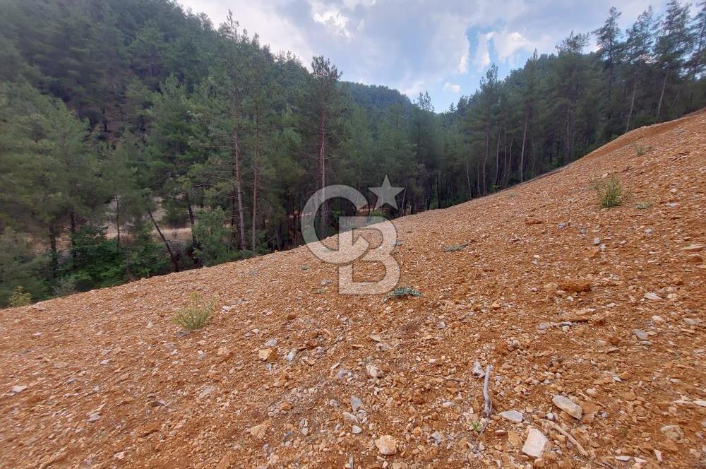 Muğla Menteşe Dağdibi Mah Satılık Tar