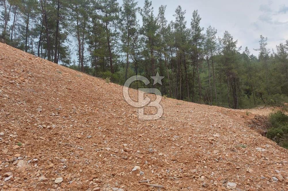 Muğla Menteşe Dağdibi Mah Satılık Tarla 