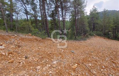 Muğla Menteşe Dağdibi Mah Satılık Tarla 