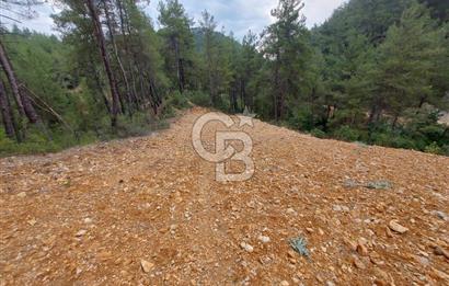 Muğla Menteşe Dağdibi Mah Satılık Tar