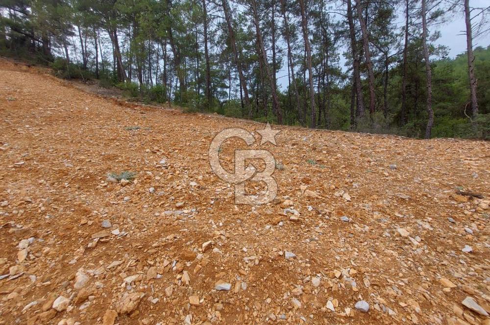 Muğla Menteşe çatakbağyaka Mah Satılık Tarla