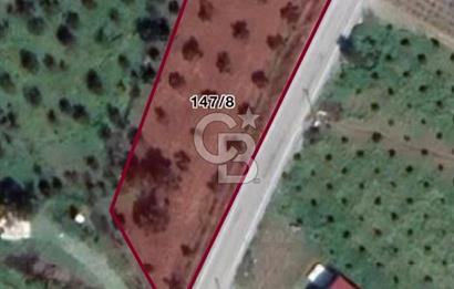 LAND FOR SALE IN SEFERİHİSAR KAVAKDERE LOCATION