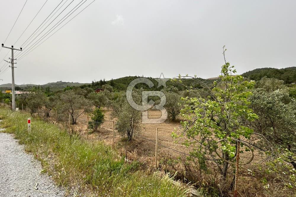 LAND FOR SALE IN SEFERİHİSAR KAVAKDERE LOCATION