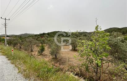 LAND FOR SALE IN SEFERİHİSAR KAVAKDERE LOCATION