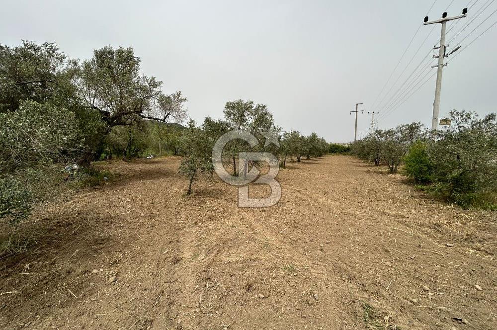 LAND FOR SALE IN SEFERİHİSAR KAVAKDERE LOCATION