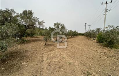 LAND FOR SALE IN SEFERİHİSAR KAVAKDERE LOCATION