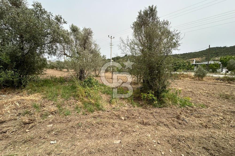 LAND FOR SALE IN SEFERİHİSAR KAVAKDERE LOCATION