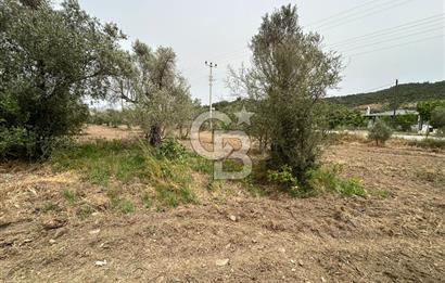 LAND FOR SALE IN SEFERİHİSAR KAVAKDERE LOCATION