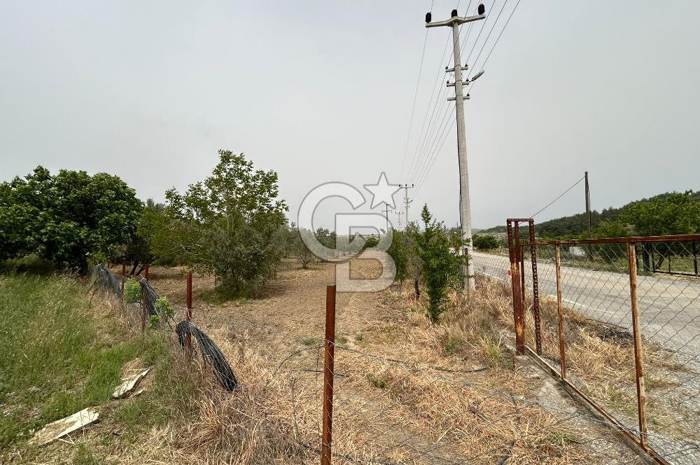 LAND FOR SALE IN SEFERİHİSAR KAVAKDERE LOCATION