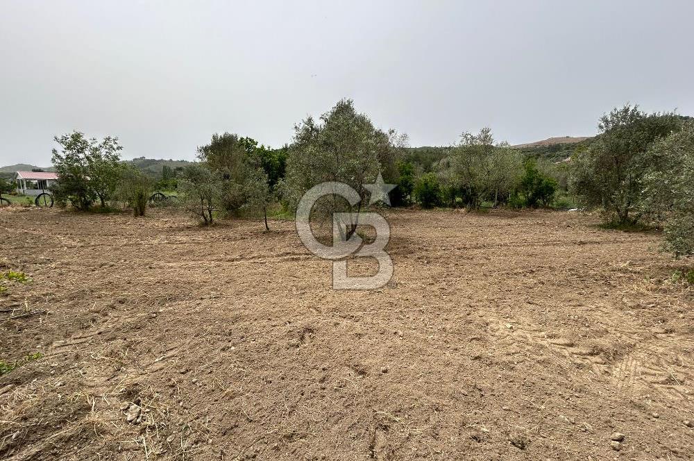 LAND FOR SALE IN SEFERİHİSAR KAVAKDERE LOCATION