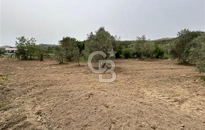 LAND FOR SALE IN SEFERİHİSAR KAVAKDERE LOCATION