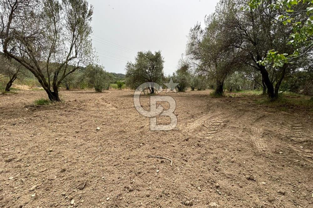 LAND FOR SALE IN SEFERİHİSAR KAVAKDERE LOCATION