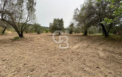 LAND FOR SALE IN SEFERİHİSAR KAVAKDERE LOCATION