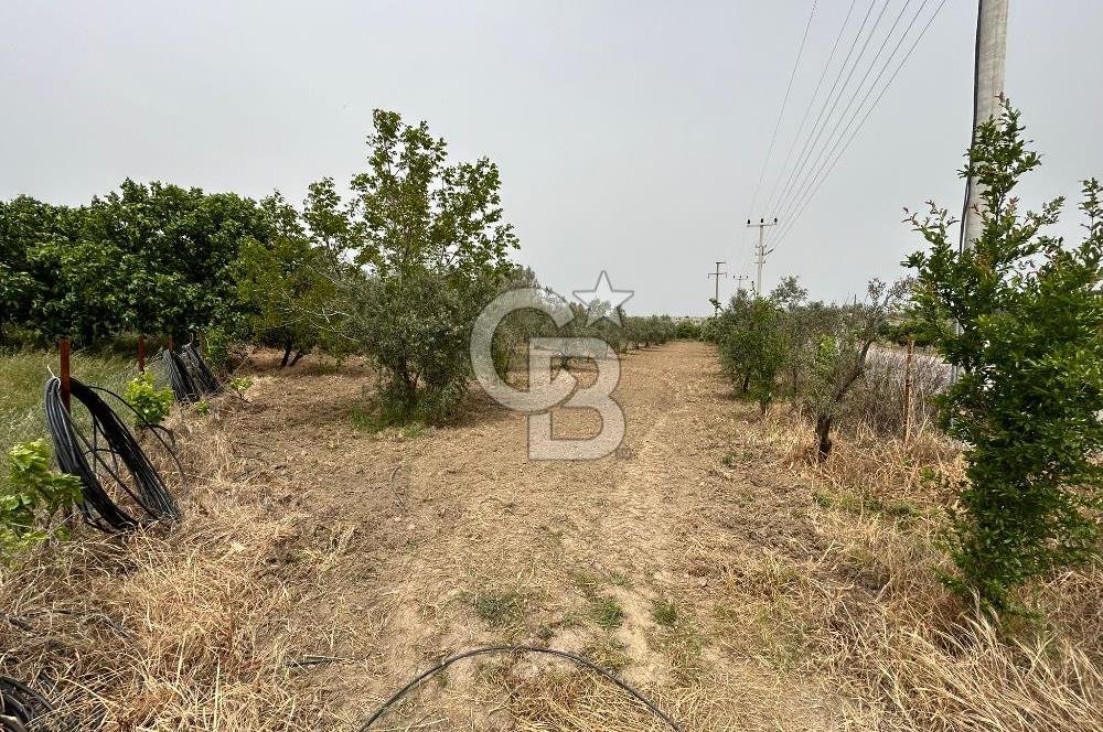 LAND FOR SALE IN SEFERİHİSAR KAVAKDERE LOCATION