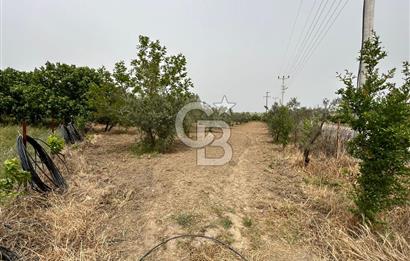 LAND FOR SALE IN SEFERİHİSAR KAVAKDERE LOCATION