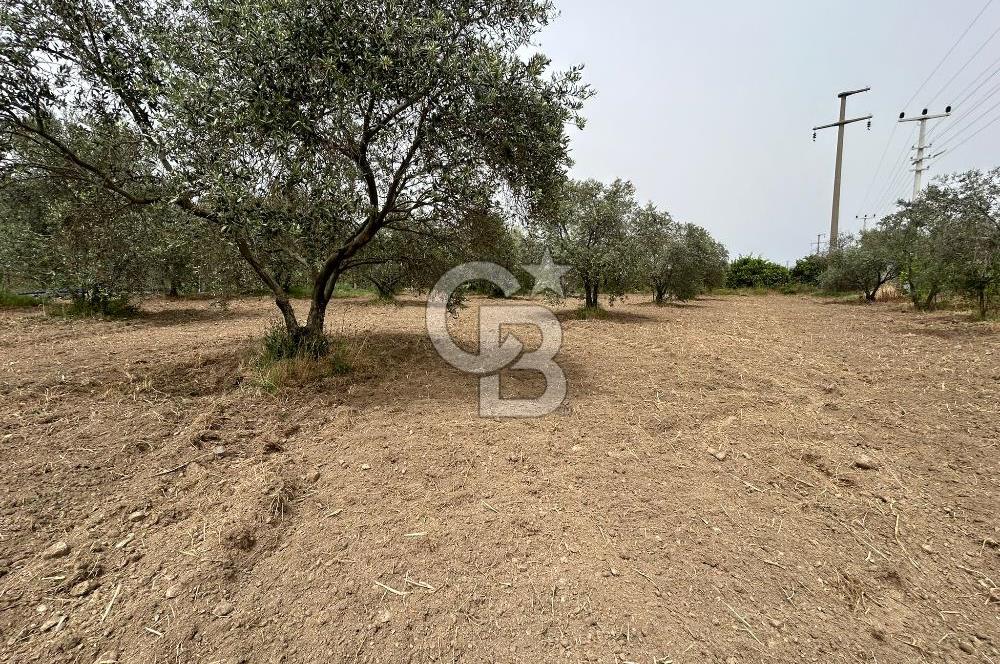 LAND FOR SALE IN SEFERİHİSAR KAVAKDERE LOCATION