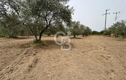 LAND FOR SALE IN SEFERİHİSAR KAVAKDERE LOCATION