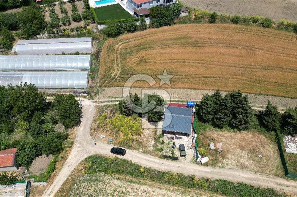 ÇATALCA ELBASAN SATILIK 262M2 ARSA