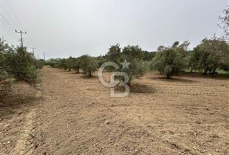 LAND FOR SALE IN SEFERİHİSAR KAVAKDERE LOCATION