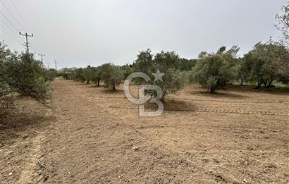 LAND FOR SALE IN SEFERİHİSAR KAVAKDERE LOCATION