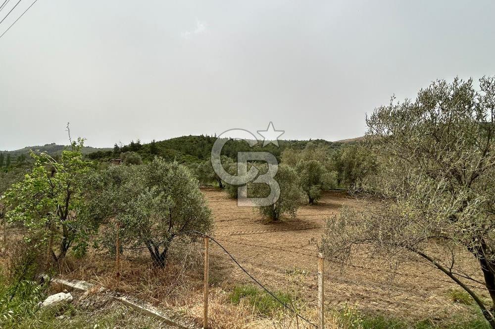 LAND FOR SALE IN SEFERİHİSAR KAVAKDERE LOCATION