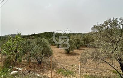 LAND FOR SALE IN SEFERİHİSAR KAVAKDERE LOCATION