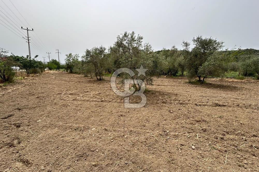 LAND FOR SALE IN SEFERİHİSAR KAVAKDERE LOCATION