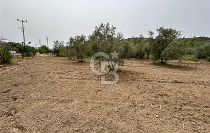 LAND FOR SALE IN SEFERİHİSAR KAVAKDERE LOCATION