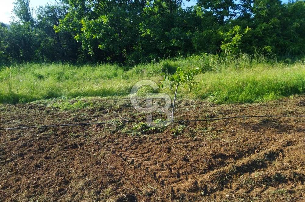 ÇANAKKALE ÇAN OZANCIKTA TAMAMI KÖYİÇİ İMARDA KALAN SATILIK ARSA