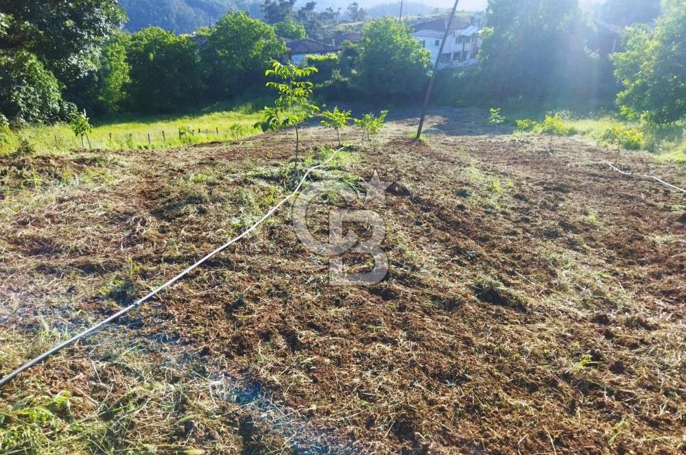 ÇANAKKALE ÇAN OZANCIKTA TAMAMI KÖYİÇİ İMARDA KALAN SATILIK ARSA